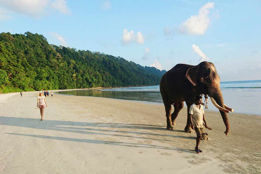 Amazing Andaman Tour